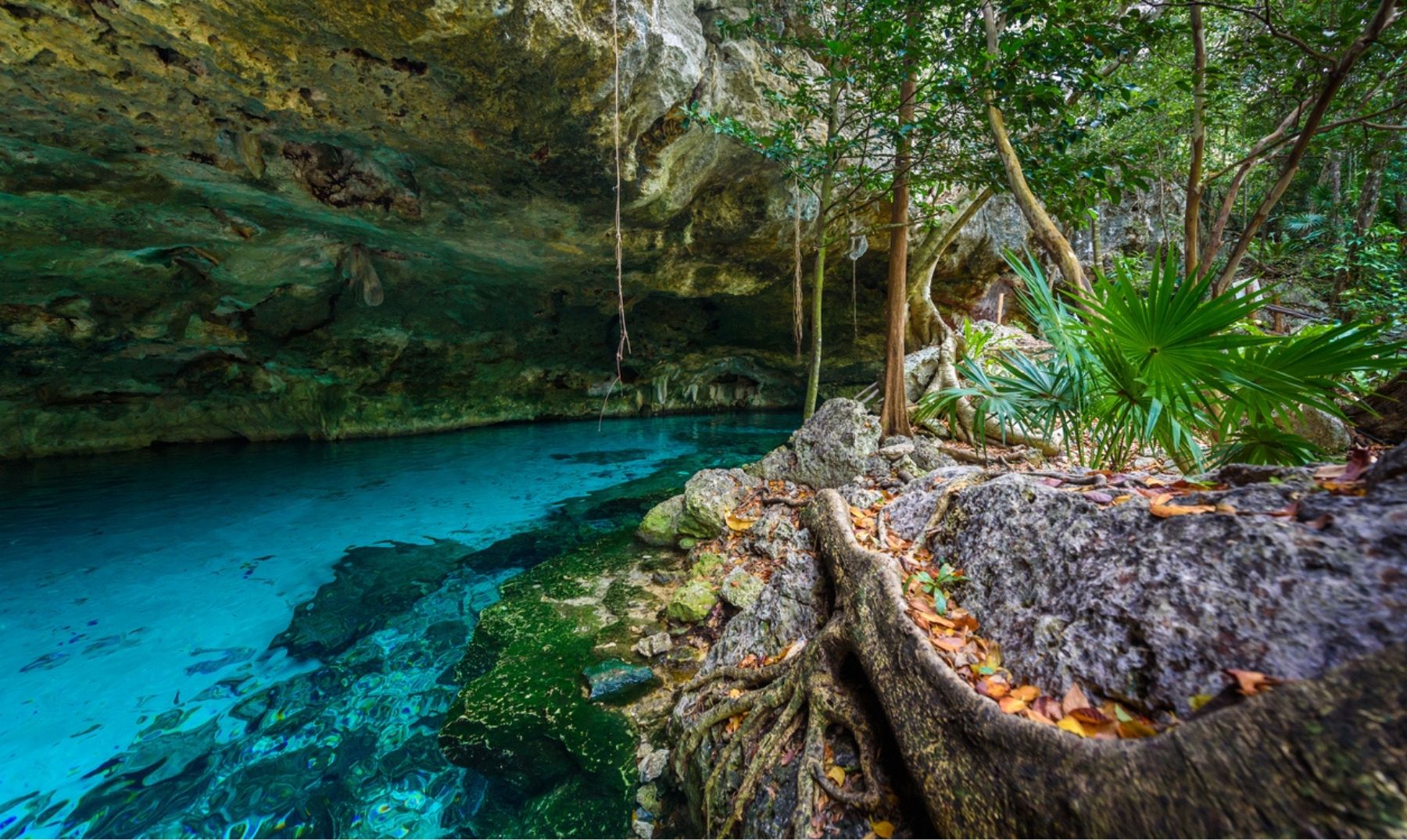 Cenote Dos Ojos, Tulum