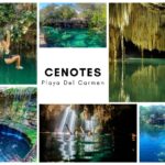 10+ Best Cenotes To Visit Near Playa Del Carmen in 2023