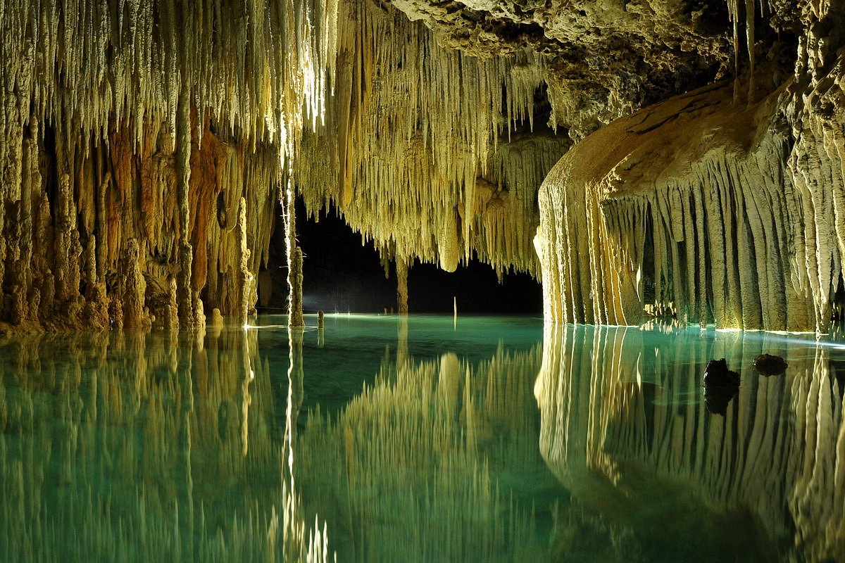 11+ Best Cenotes To Visit Near Playa Del Carmen in 2023