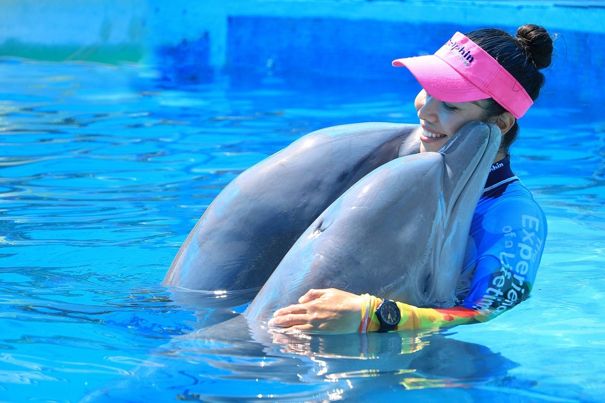 Visit Aquaventuras Water Park by Dolphin Discovery