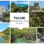 Top National Parks to Visit in Tulum