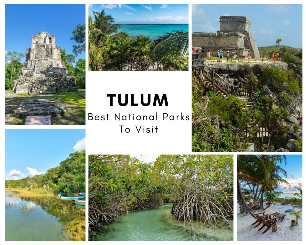 Top National Parks to Visit in Tulum