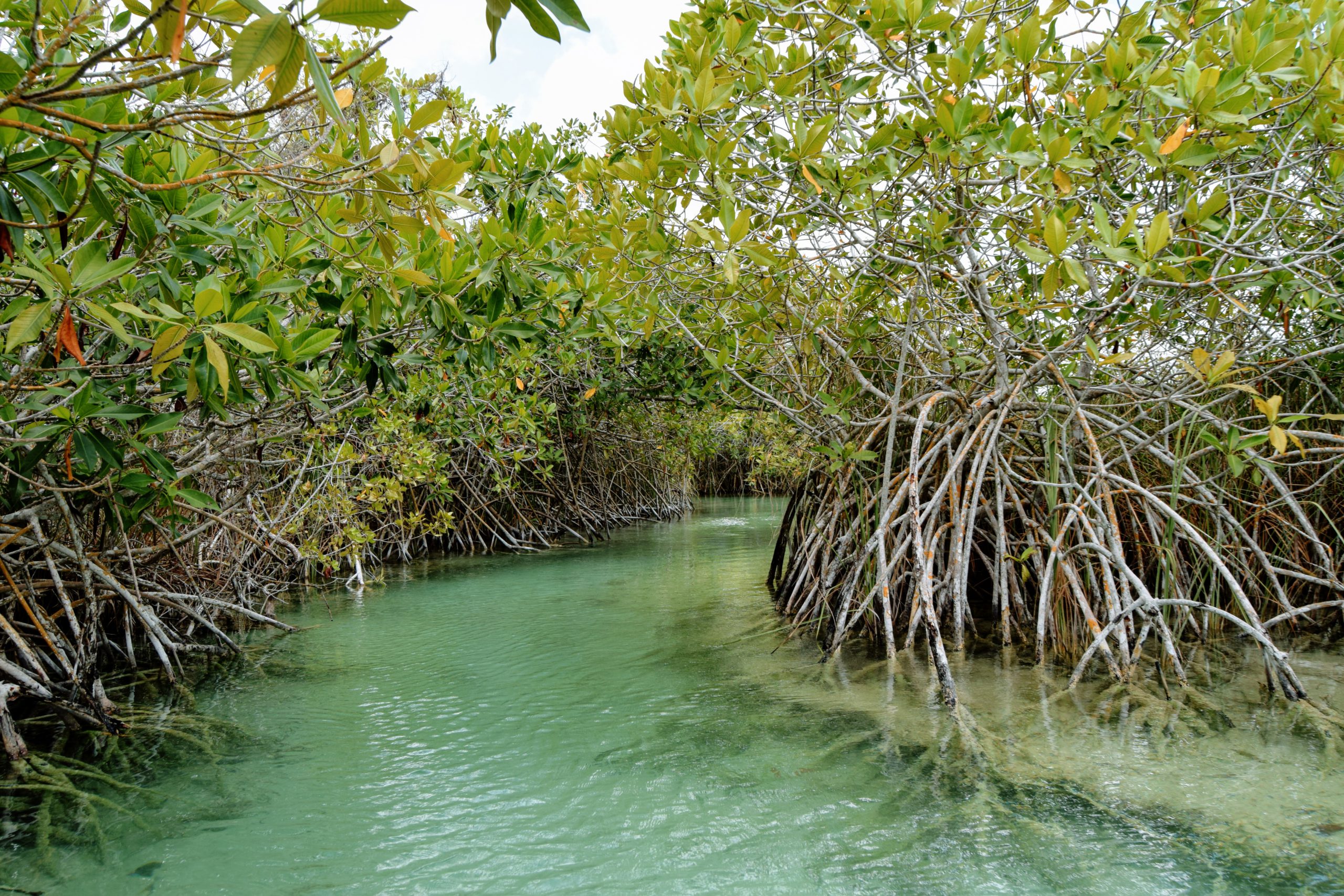 Sian Ka'an Biosphere Reserve