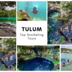 Tulum Snorkeling Best Tours