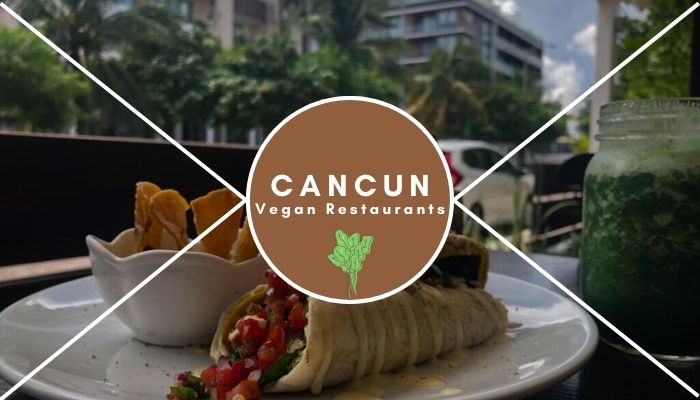 Best Vegan Restaurants In Cancun