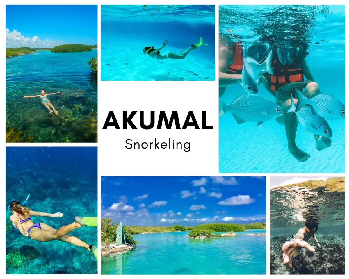 Snorkeling-In-Akumal