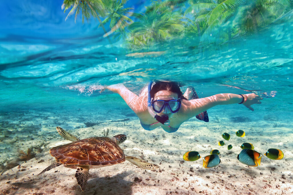 Puerto Morelos Reef National Park