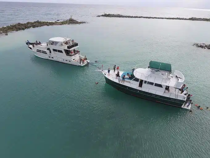 Private yacht party in Tulum