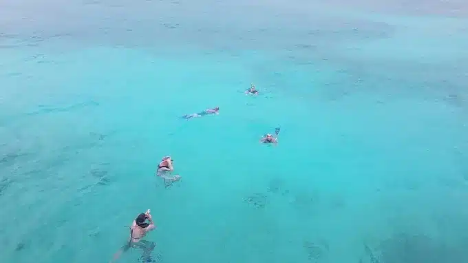 Riviera Maya snorkeling tour